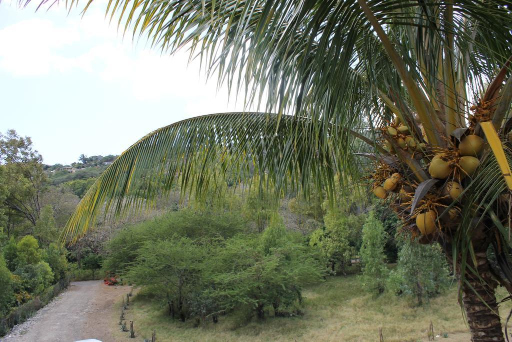 Villa Le Chapo Port Mathurin Zimmer foto